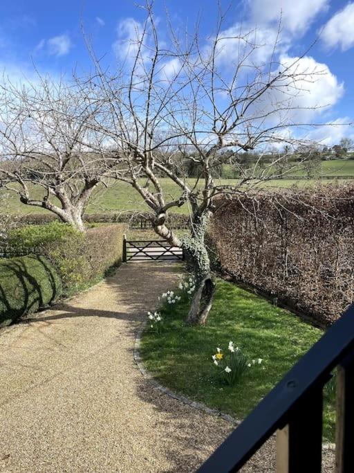 Little Studio Annexe Marlow  Ngoại thất bức ảnh